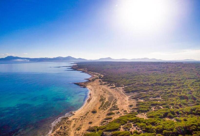 Ideal Property Mallorca   Son Serra