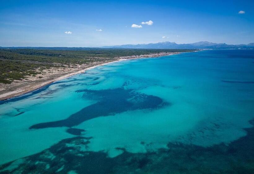 Ideal Property Mallorca   Son Serra