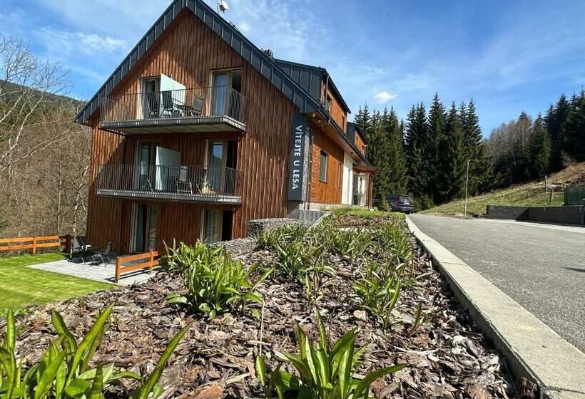 Apartmány U Lesa