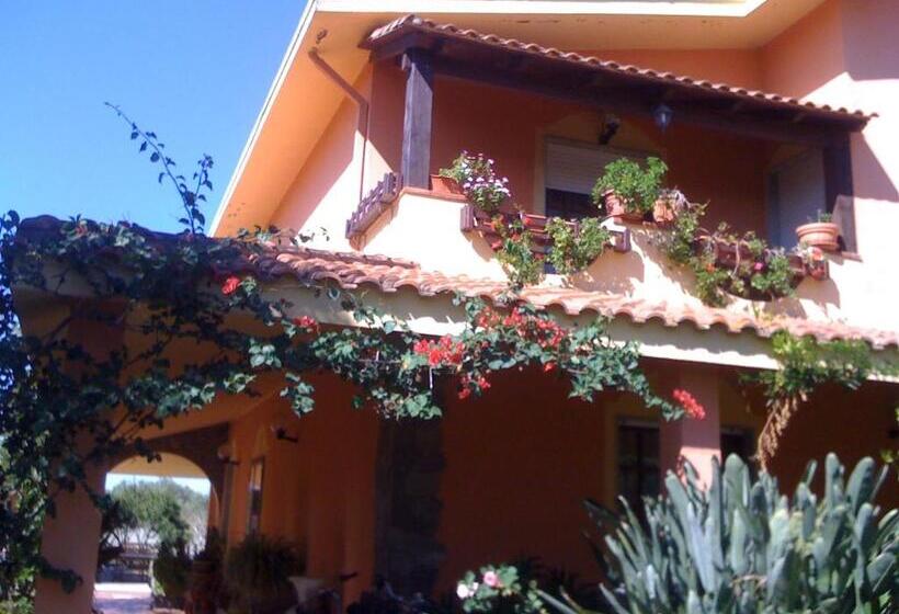 Il Bouganville