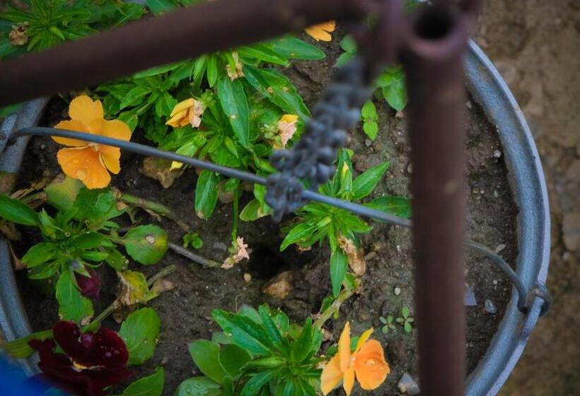 צימר Pensiunea Ileana Adults Only