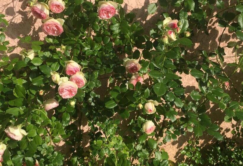 تختخواب و صبحانه Rose Garden Mezzanine