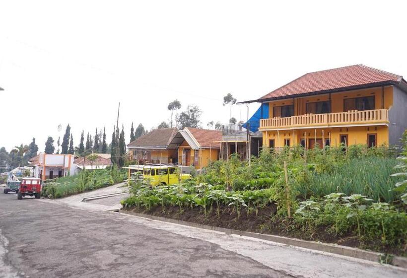 פנסיון Homestay Lereng Bromo