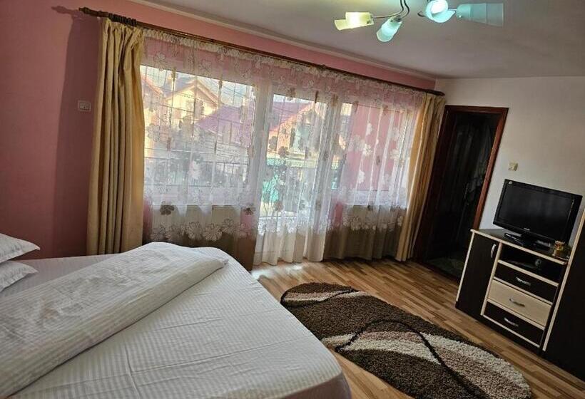 Пансион Vila Vlăduț