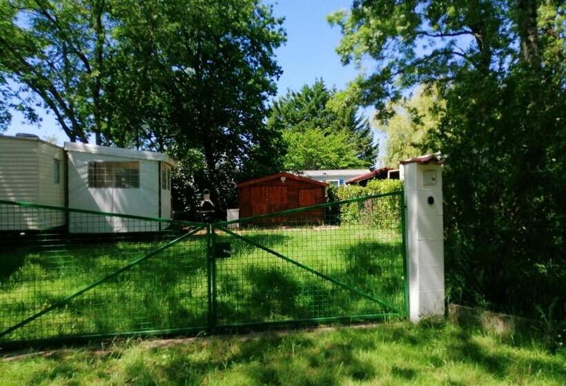 Bungalow Charmant A Saint Pierre D Oleron Avec Jardin Cloture