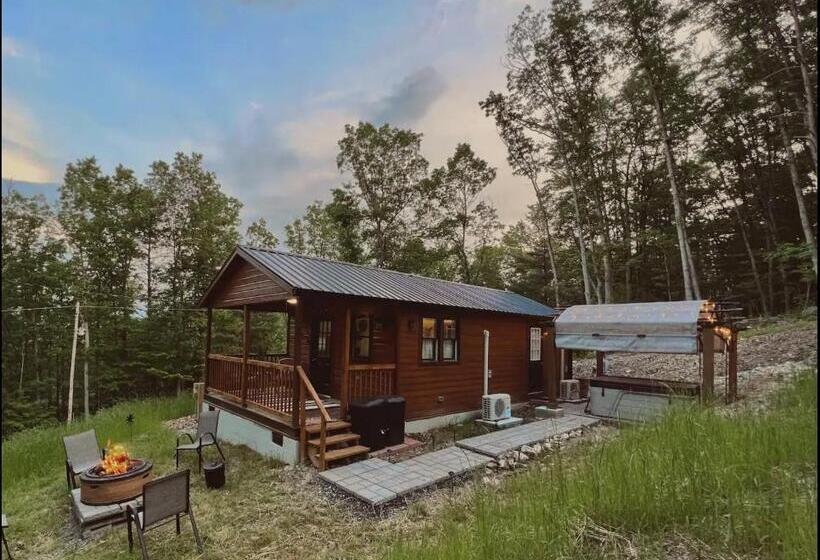 Dreamy Couples Cabin In The Shenandoah Forrest