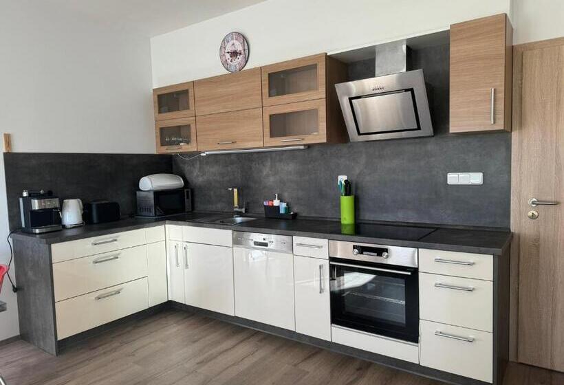 בית מלון כפרי Wellness & Spa Apartments Lipno Frymburk