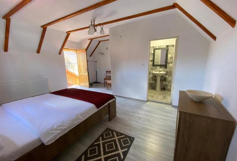 بنسيون Casa De Vacanta Family & Friends