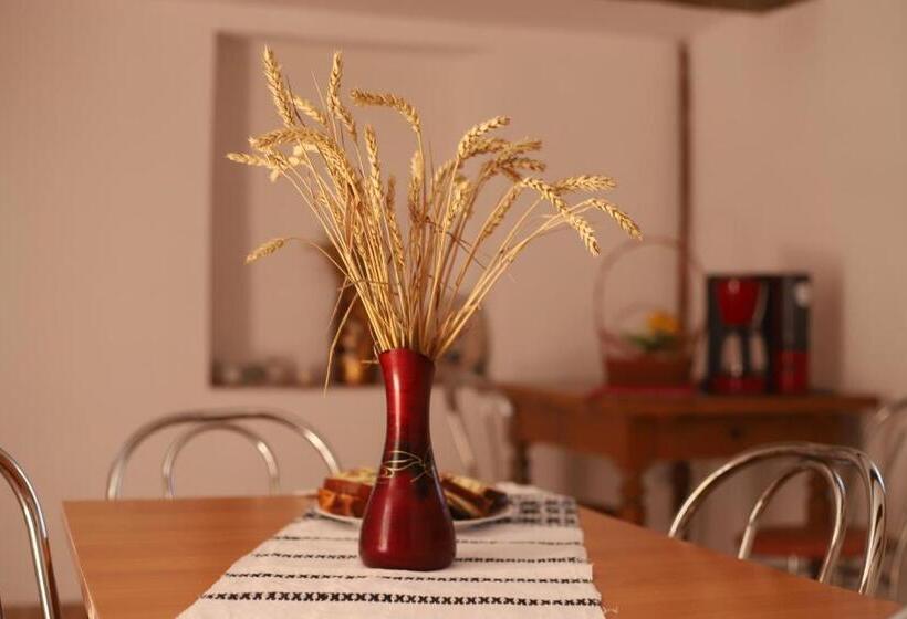 ペンション Casa De Vacanta Family & Friends