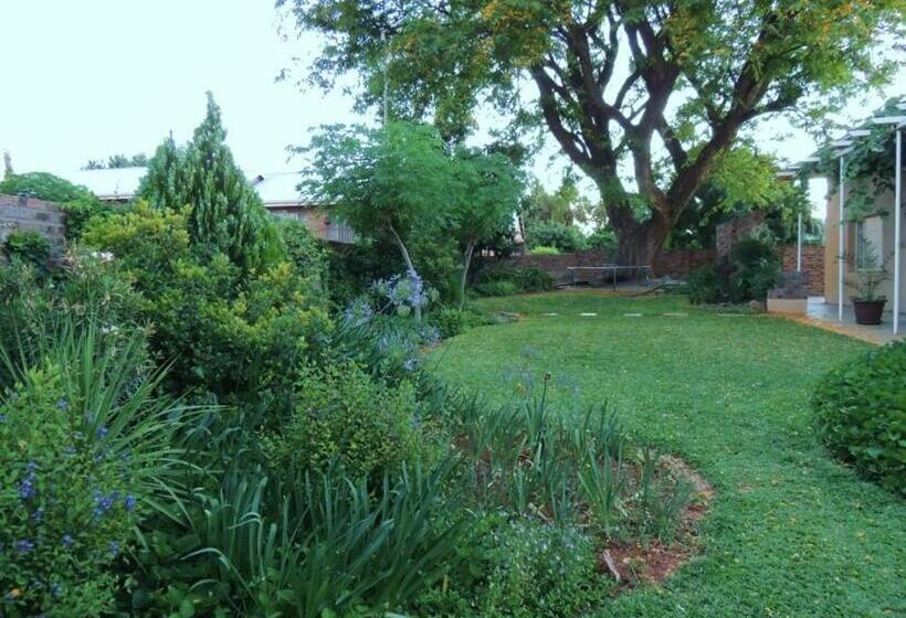 פנסיון The Big Tree Guest House