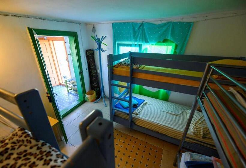 Danube Delta Hostel Homestay & Camping