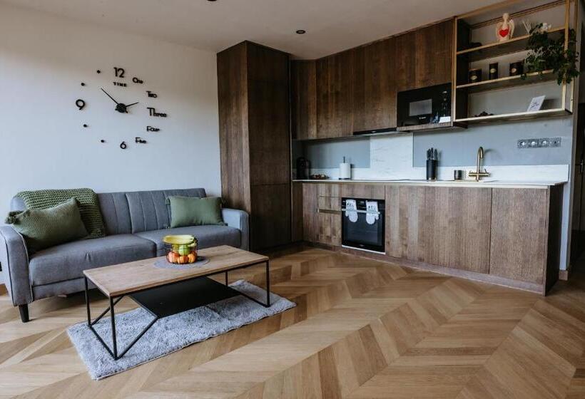 Minimalist Design Penthouse   Kosice Old Town