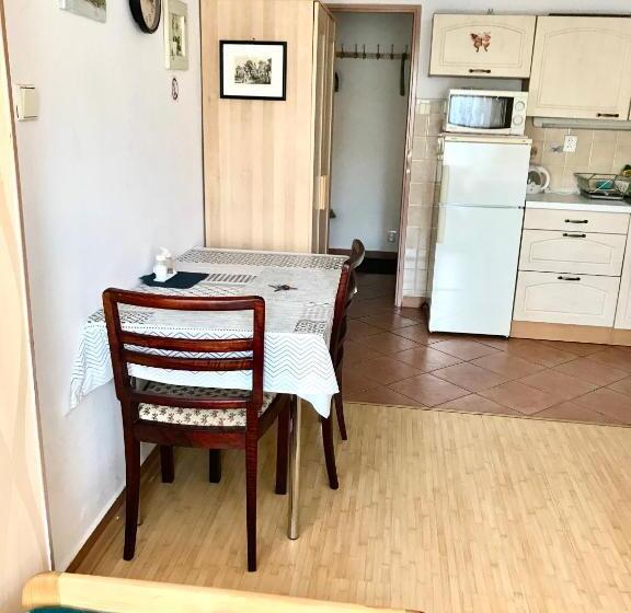 پانسیون Vila Adéla   Teplice