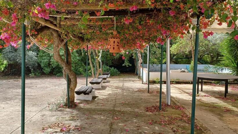 Quinta Velha 22