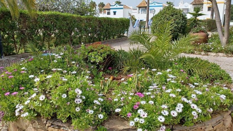Quinta Velha 22