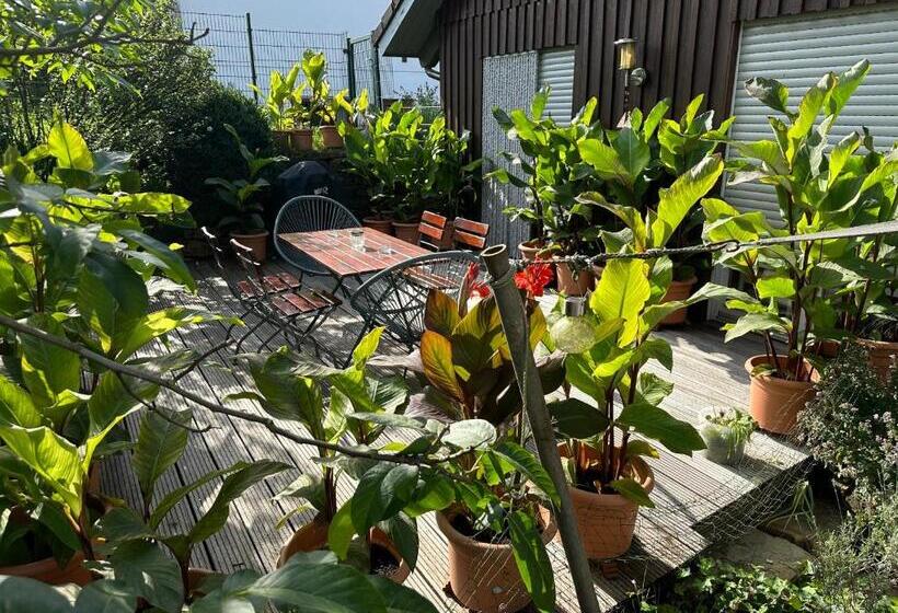 Wiehler Ferienwohnung