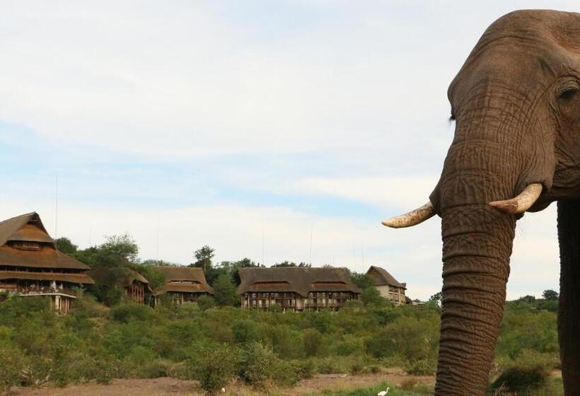 Fotos del hotel Victoria Falls Safari Suites:  53