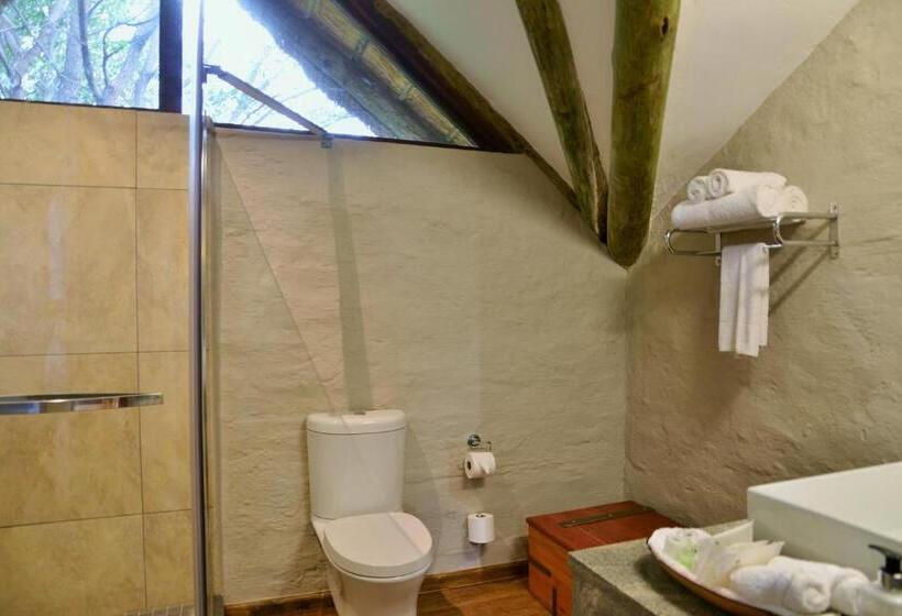 Fotos del hotel Victoria Falls Safari Suites:  62