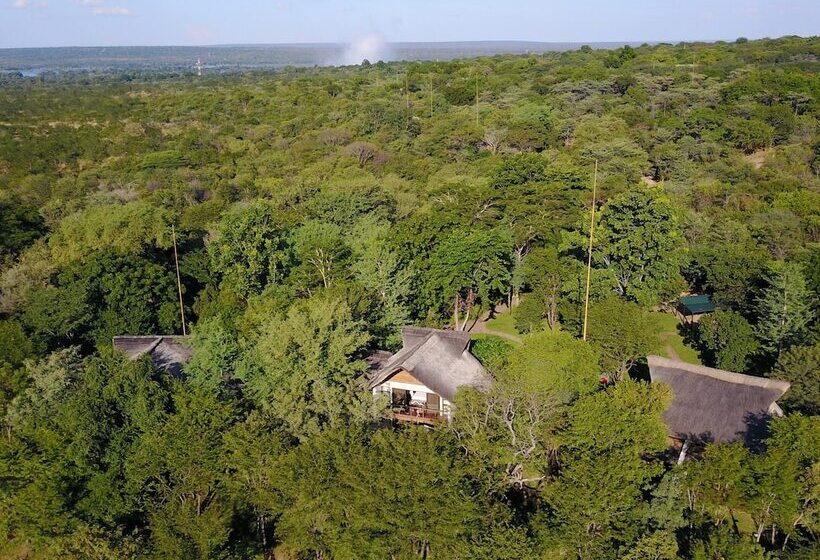Fotos del hotel Victoria Falls Safari Suites:  37