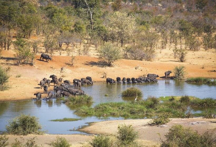 Fotos del hotel Victoria Falls Safari Suites:  9
