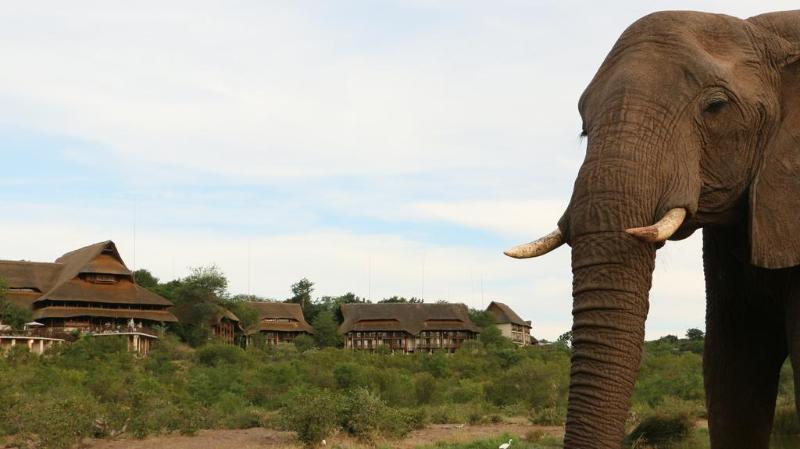 هتل Victoria Falls Safari Suites