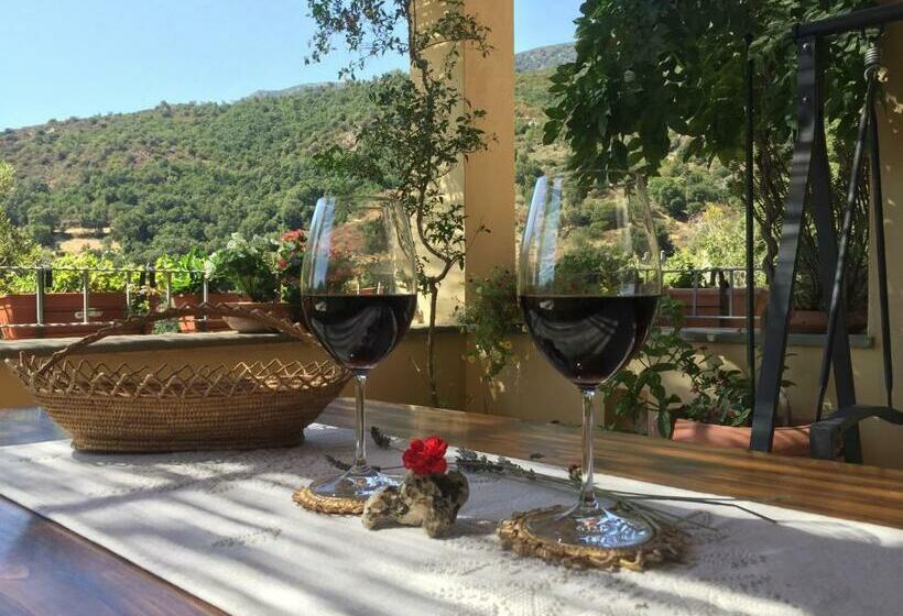 B&b Su Biancu   Sardinian Experience