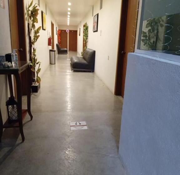 فندق Purisima Concepción