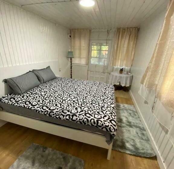 פנסיון Casa Parvu