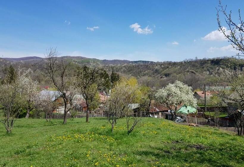 פנסיון Casa Parvu