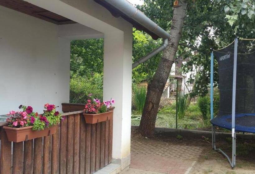 بنسيون élő Tisza Vendégház