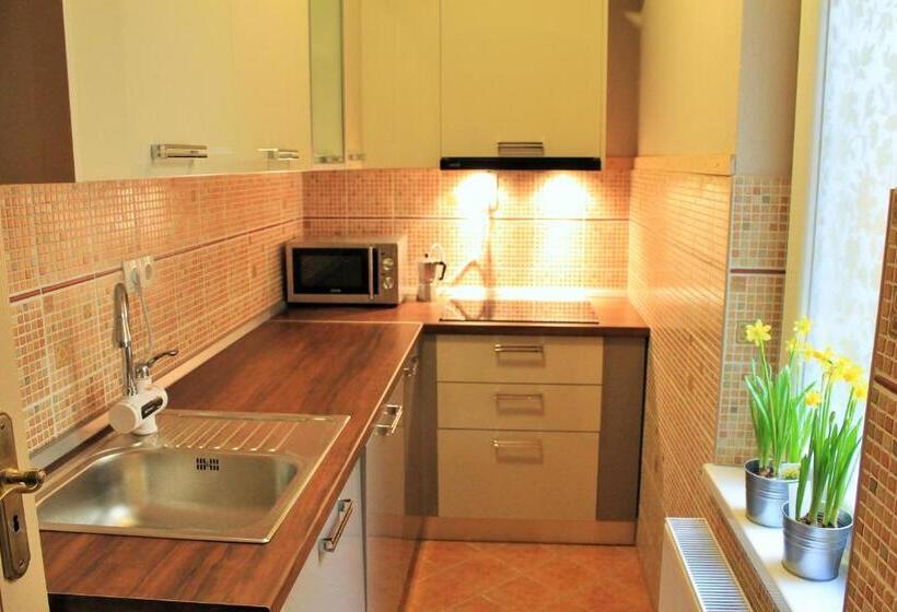 پانسیون Lidi Guesthouse