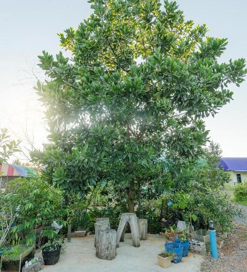 استراحتگاه Ariya Garden Home