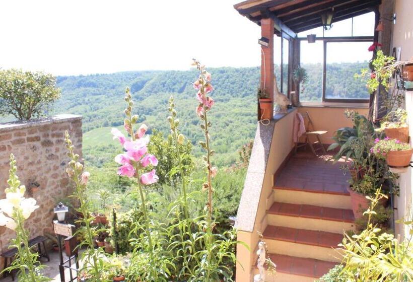 B&b Bellavista