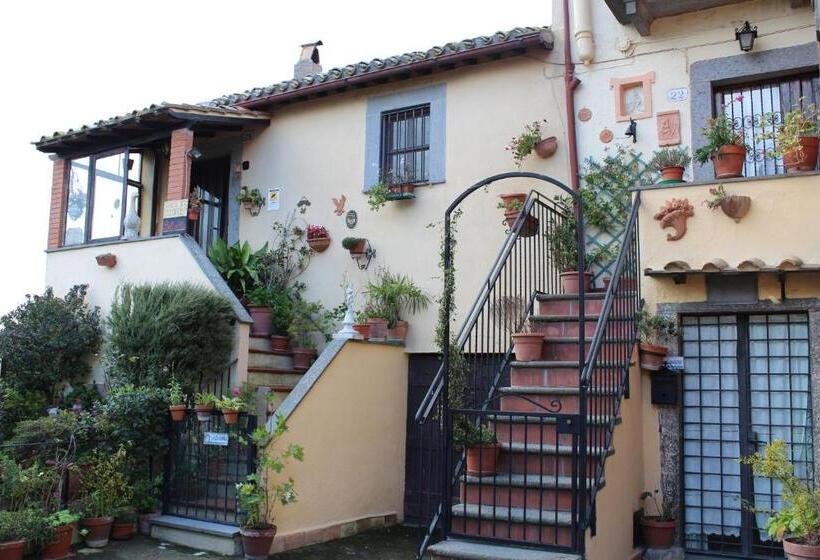 B&b Bellavista