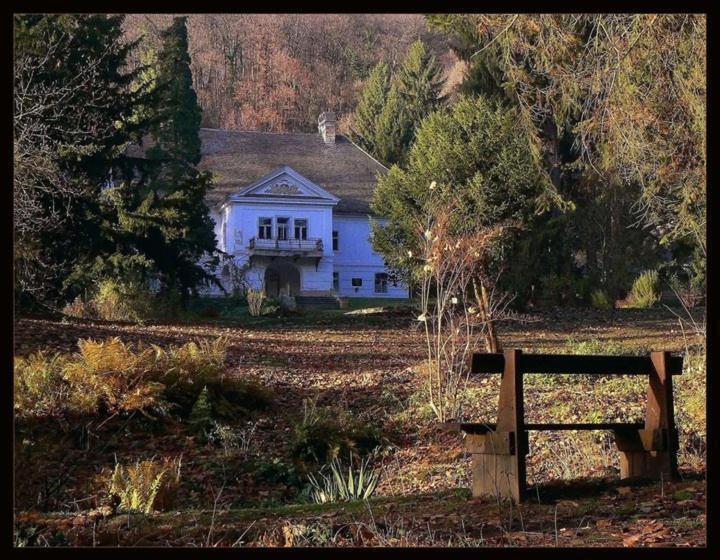 Bed and Breakfast Cseppkő Panzió