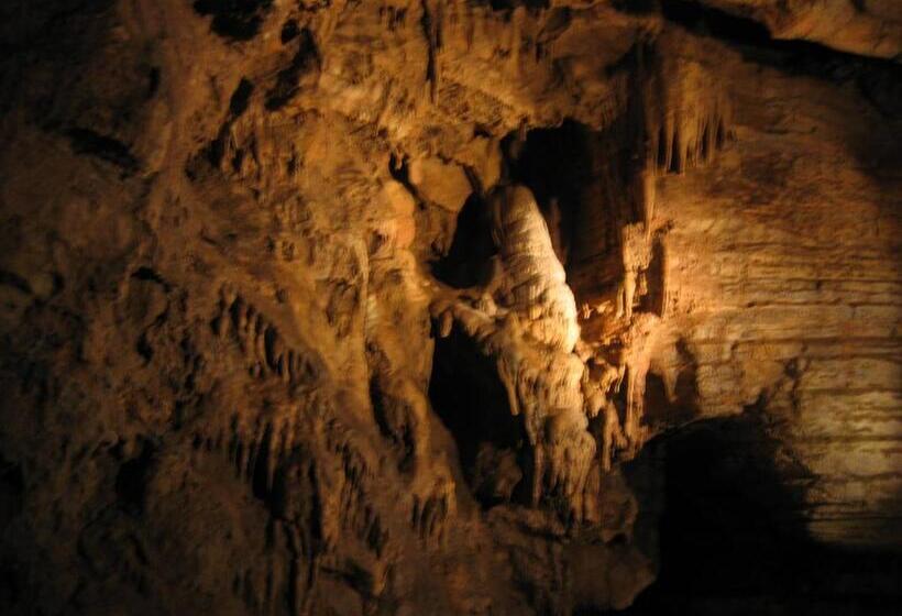 Bed and Breakfast Cseppkő Panzió