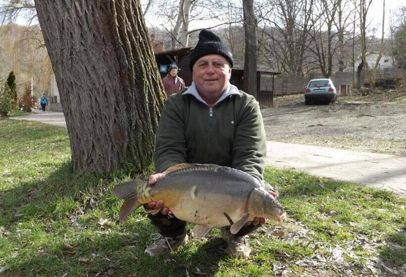 Bed and Breakfast Cseppkő Panzió