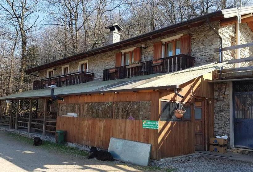 Отель Agriturismo Volpe Golosa