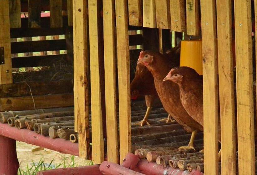 هتل Baan Nork Farmstay บ้านนอก ฟาร์มสเตย์