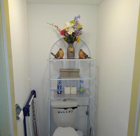 Le Roi Du Sundgau Près De La Horse   Mooslargue