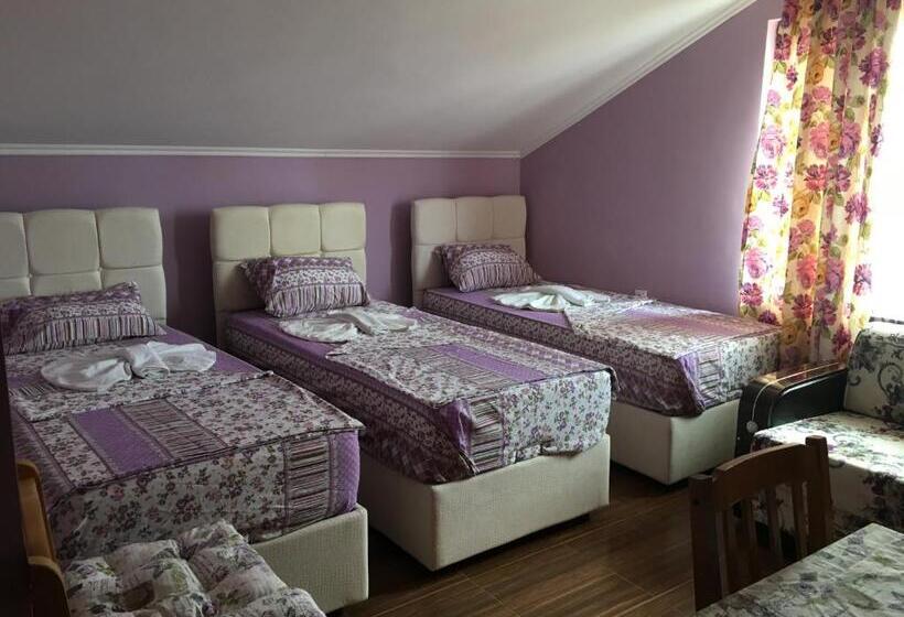 پانسیون Daniel Guest House