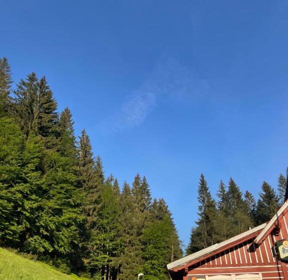 پانسیون Penzion Lesní Zátiší  Harrachov