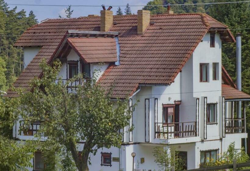 Pensiunea Bianca