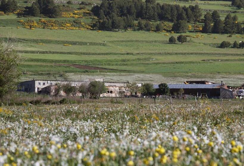 Gîte Equisud   Demi Pension Inclus