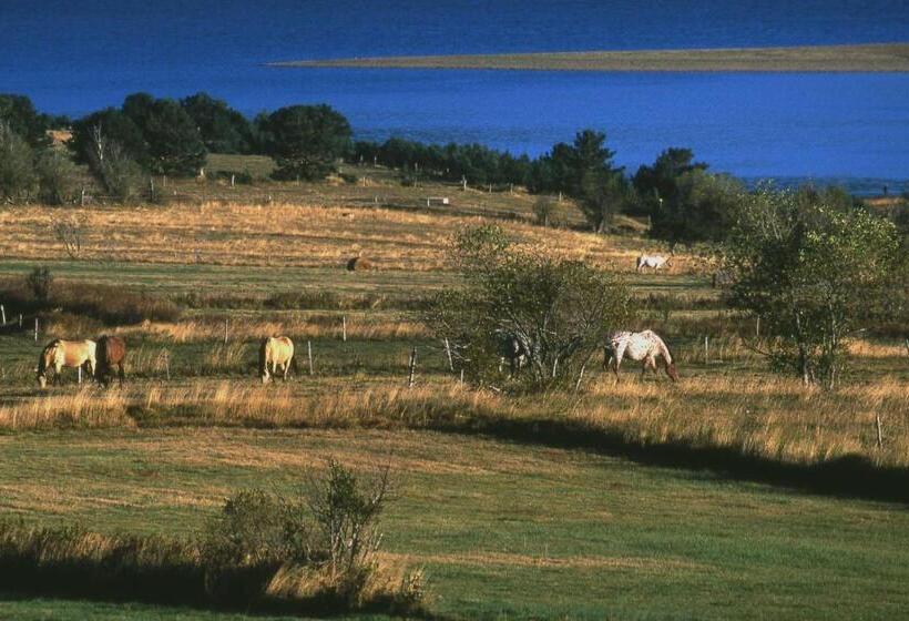 Gîte Equisud   Demi Pension Inclus