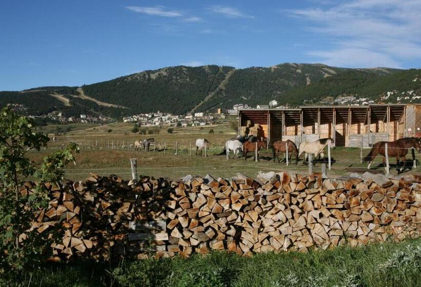 Gîte Equisud   Demi Pension Inclus