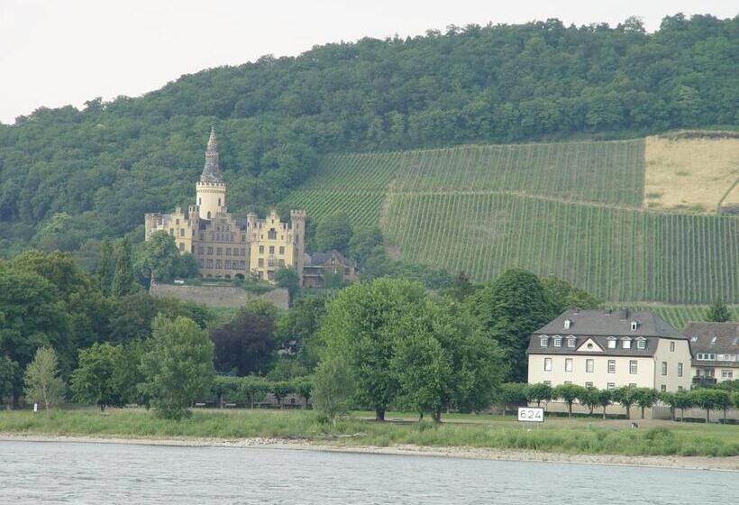 هتل Vater Rhein