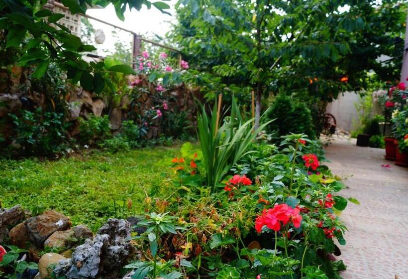 پانسیون Guest House Dara