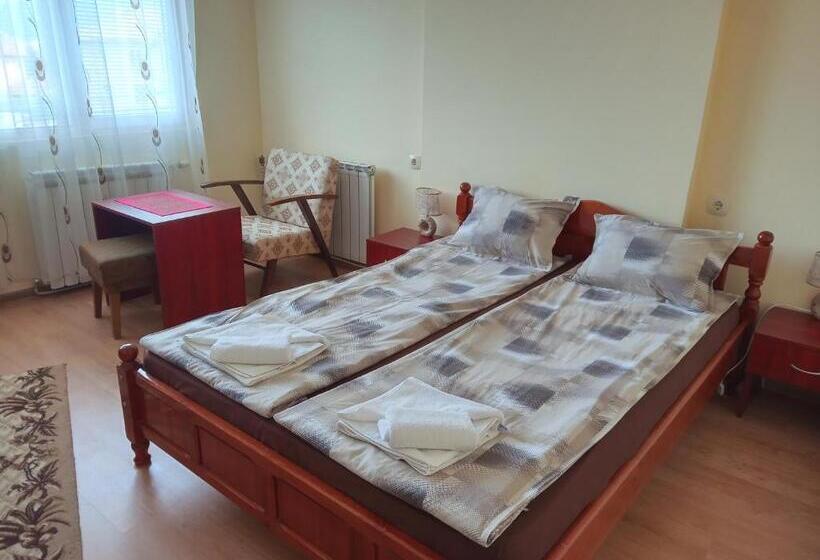 بنسيون Guest House Radoychevi
