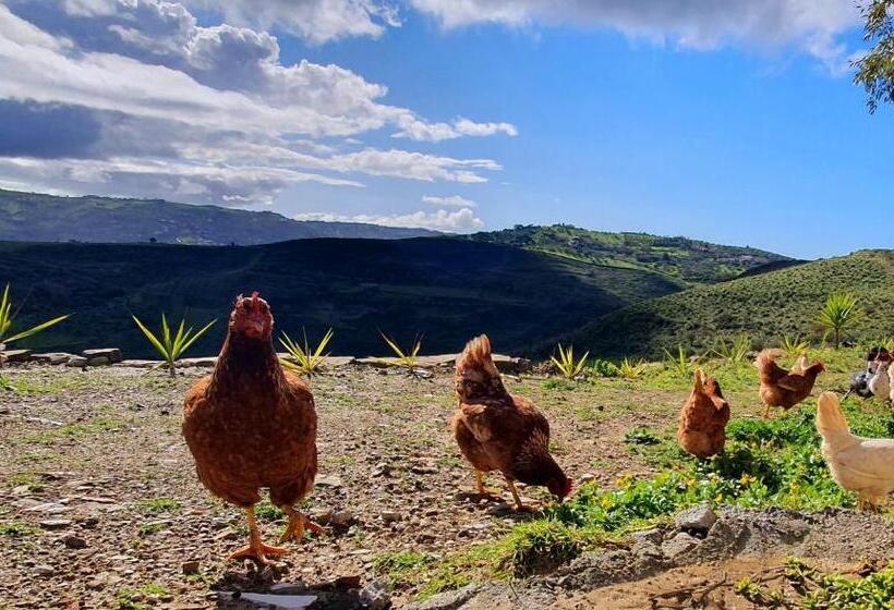 Bed and Breakfast Domus Mare Cilento